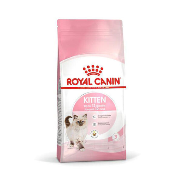 غذای خشک بچه گربه کیتن رویال کنین royal canin kitten