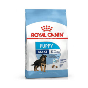 غذا خشک توله سگ نژاد بزرگ رویال کنین مکسی پاپی royal canin maxi puppy